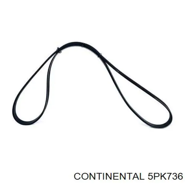 Comprar 5PK736 Continental/Siemens Correa trapezoidal