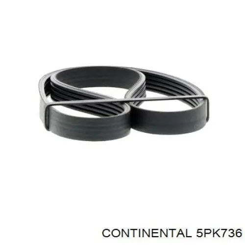 Correa de transmisión trapezoidal Continental/Siemens 5PK736 precio, desde 13,52 EUR