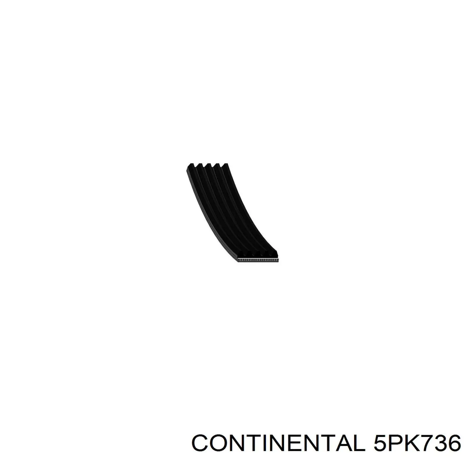 5PK736 Continental/Siemens Correa poly v