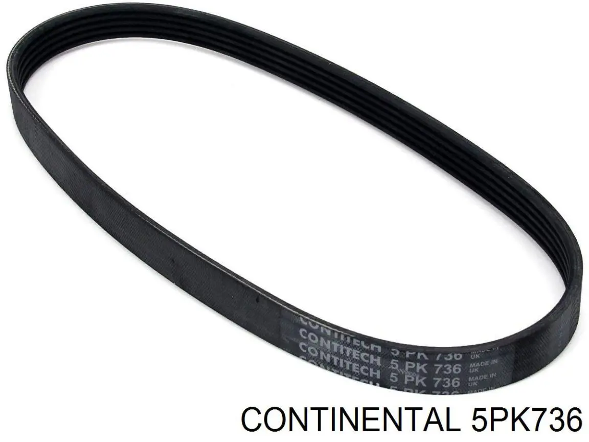 Correa de alternador 5PK736 Continental/Siemens