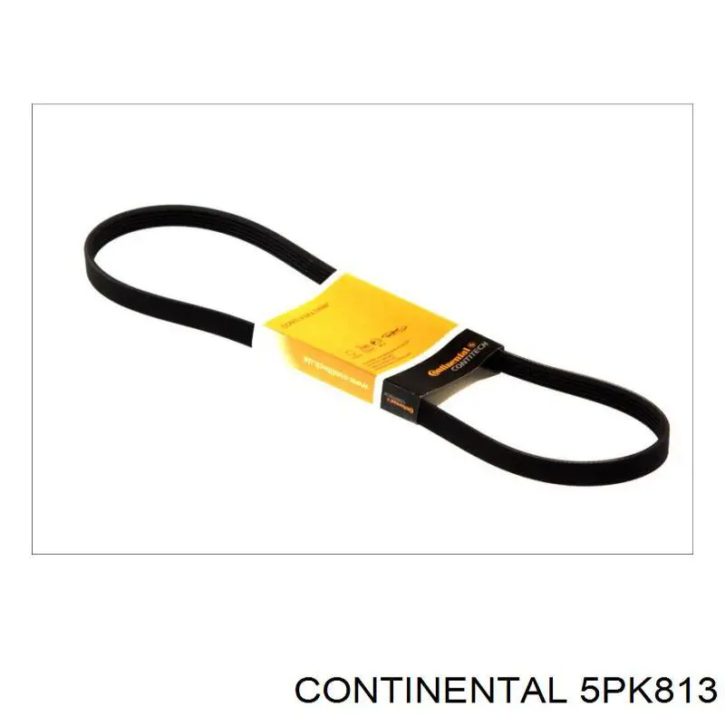 Correa de transmisión trapezoidal Continental/Siemens 5PK813 precio, desde 19,70 EUR