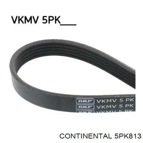 Comprar 5PK813 Continental/Siemens Correa trapezoidal
