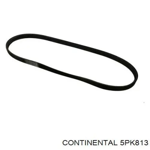 Correa de alternador 5PK813 Continental/Siemens