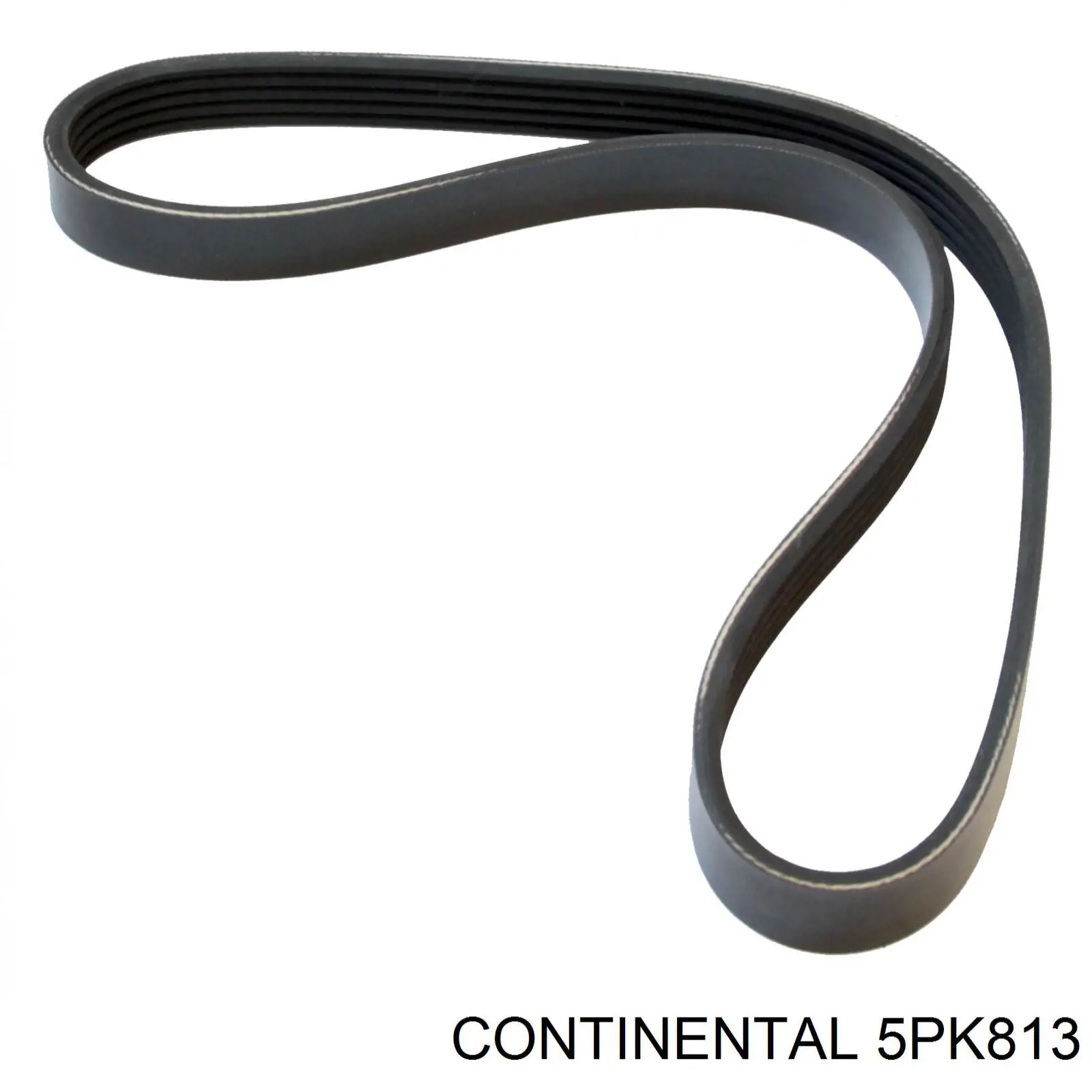 5PK813 Continental/Siemens Correa poly v