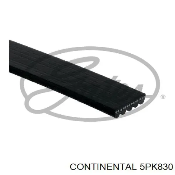 Correa de alternador 5PK830 Continental/Siemens