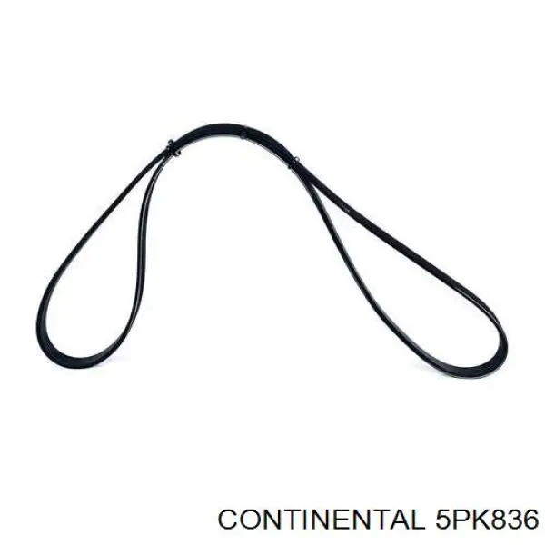 5PK836 Continental/Siemens correa trapezoidal