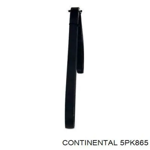 5PK865 Continental/Siemens Correa poly v