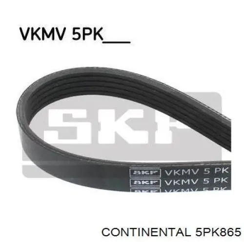 Correa de alternador 5PK865 Continental/Siemens