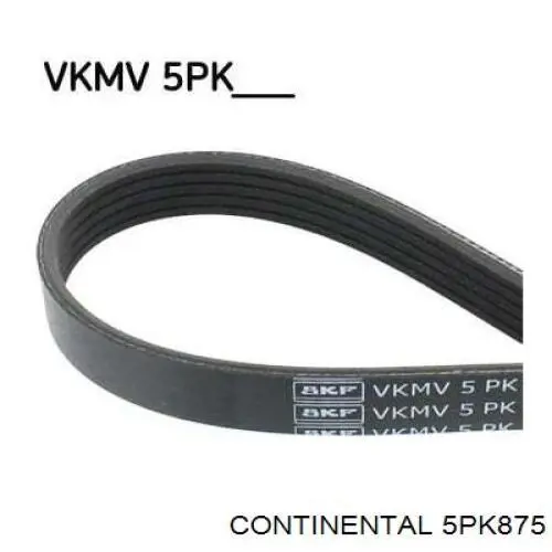 Correa accesorios Continental/Siemens 5PK875