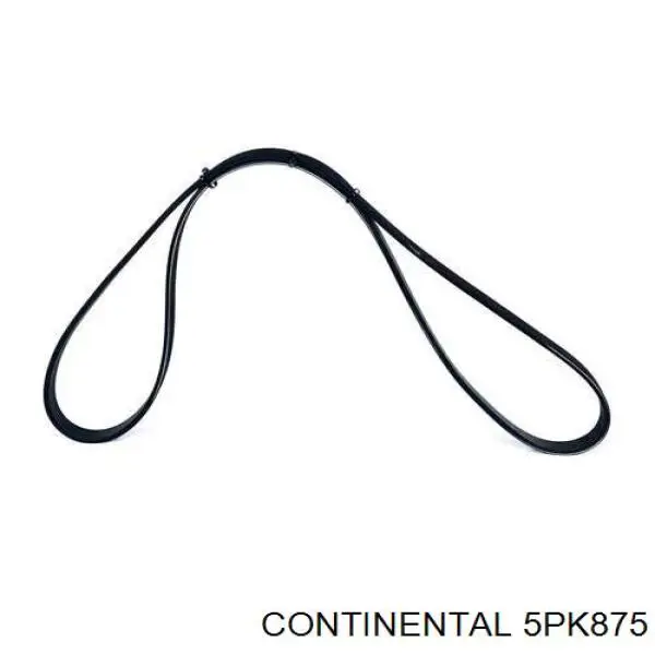 5PK875 Continental/Siemens correa trapezoidal