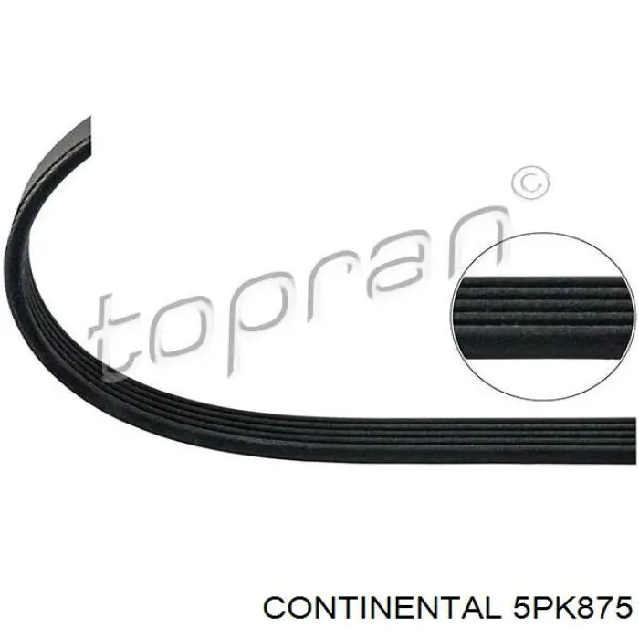 Correa de alternador 5PK875 Continental/Siemens