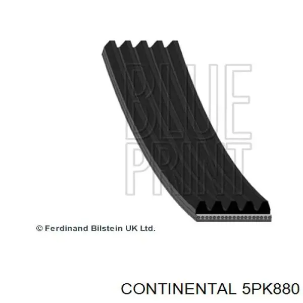 5PK880 Continental/Siemens correa trapezoidal