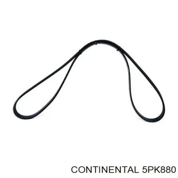 Correa de alternador 5PK880 Continental/Siemens