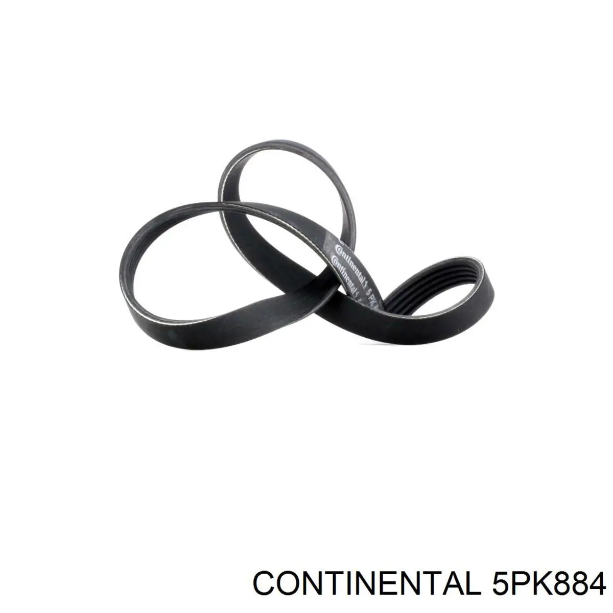 Comprar 5PK884 Continental/Siemens Correa trapezoidal