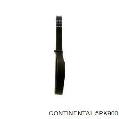 5PK900 Continental/Siemens Correa poly v