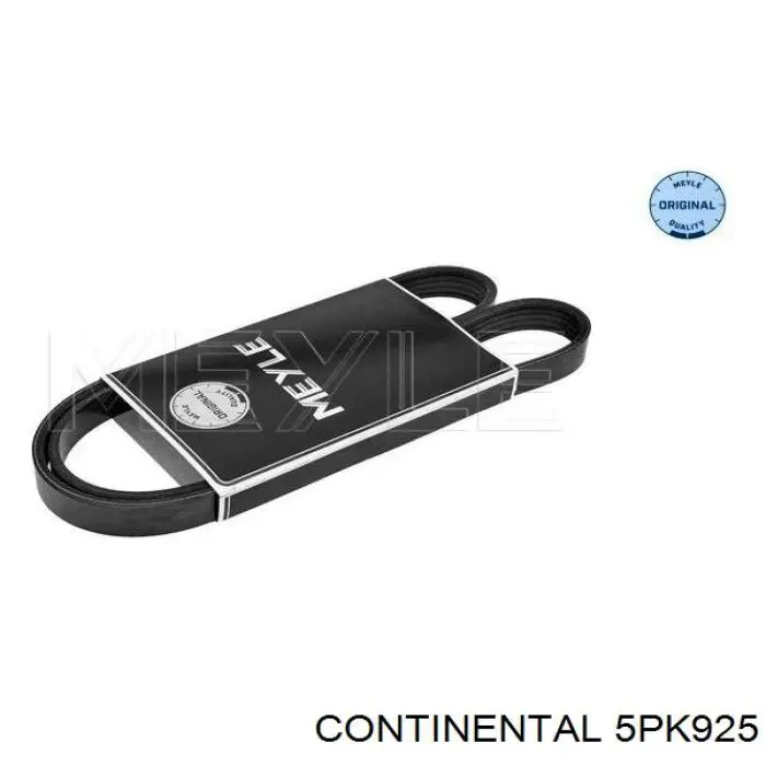 5PK925 Continental/Siemens correa trapezoidal
