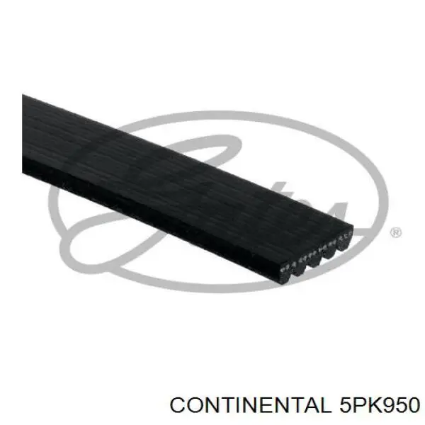 Correa de alternador 5PK950 Continental/Siemens