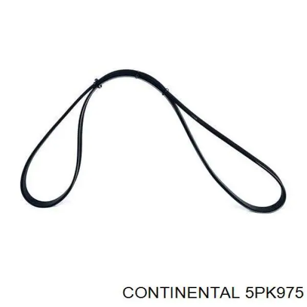 5PK975 Continental/Siemens Correa poly v