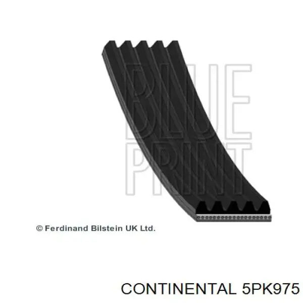 Correa de transmisión trapezoidal Continental/Siemens 5PK975 precio, desde 21,06 EUR