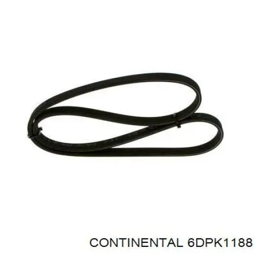 6DPK1188 Continental/Siemens Correa poly v