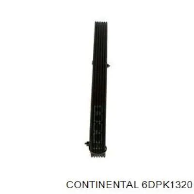 6DPK1320 Continental/Siemens Correa poly v