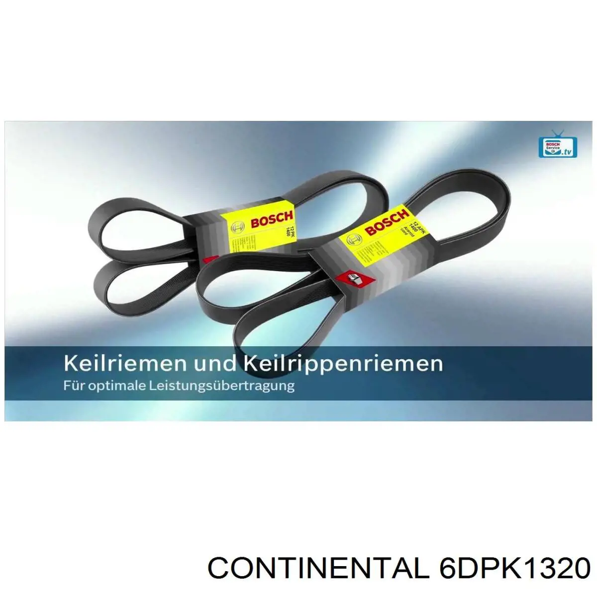 Correa de alternador 6DPK1320 Continental/Siemens