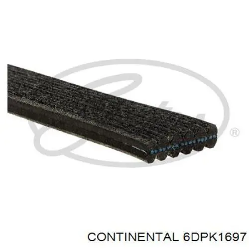 Correa de transmisión trapezoidal Continental/Siemens 6DPK1697 precio, desde 54,78 EUR