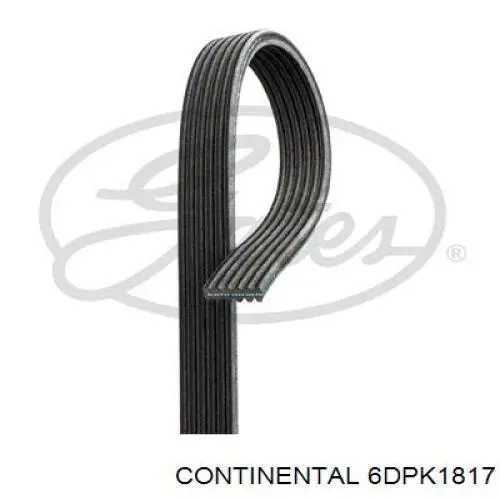 6DPK1817 Continental/Siemens correa trapezoidal