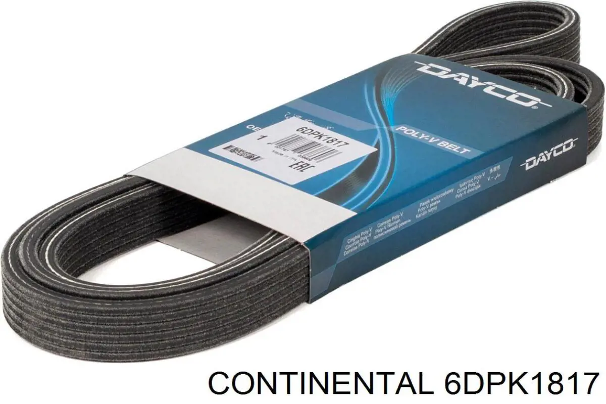 Correa de alternador 6DPK1817 Continental/Siemens