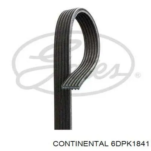Correa de transmisión trapezoidal Continental/Siemens 6DPK1841 precio, desde 52,57 EUR