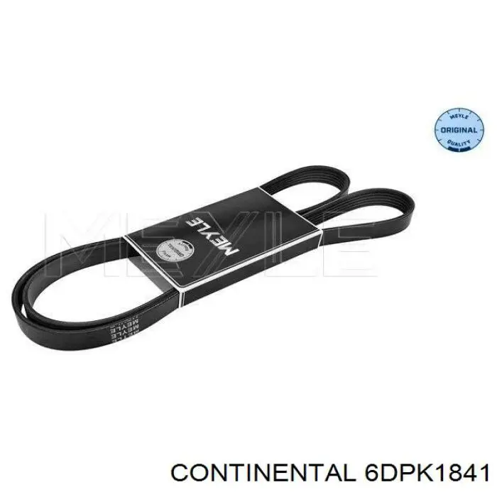 Comprar 6DPK1841 Continental/Siemens Correa trapezoidal