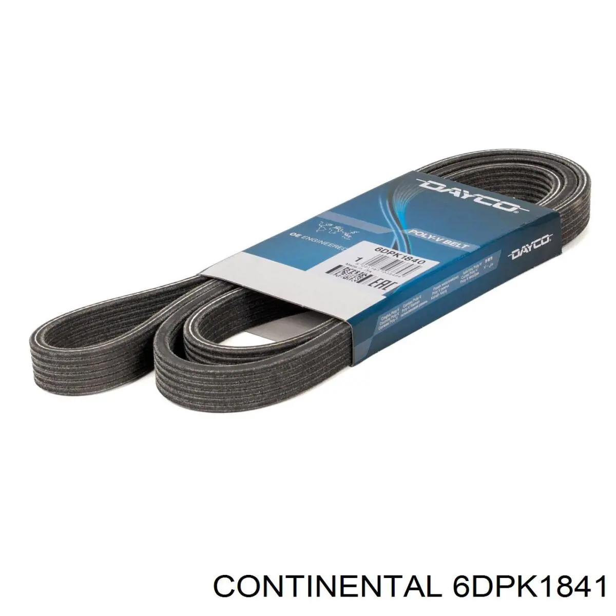 Correa de alternador 6DPK1841 Continental/Siemens