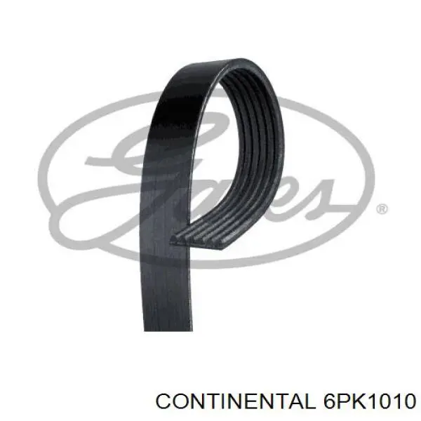 Correa de transmisión trapezoidal Continental/Siemens 6PK1010 precio, desde 23,69 EUR