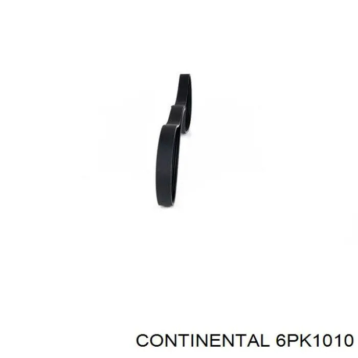 Correa de alternador 6PK1010 Continental/Siemens