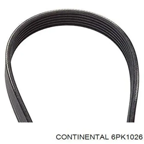 Correa de transmisión trapezoidal Continental/Siemens 6PK1026 precio, desde 16,05 EUR
