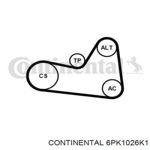 Correa de transmisión, completo Continental/Siemens 6PK1026K1 precio, desde 53,83 EUR