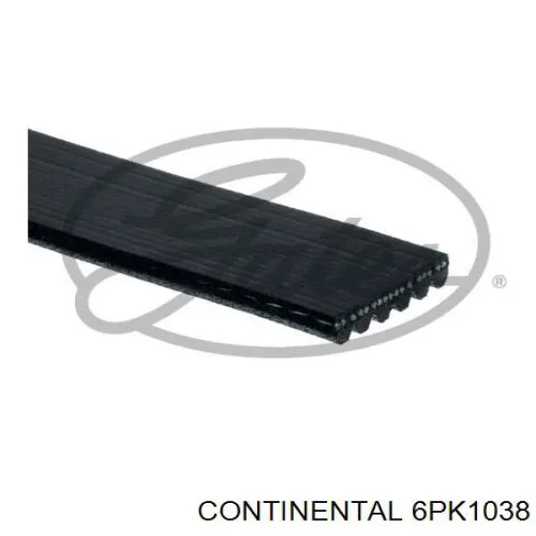 6PK1038 Continental/Siemens correa trapezoidal