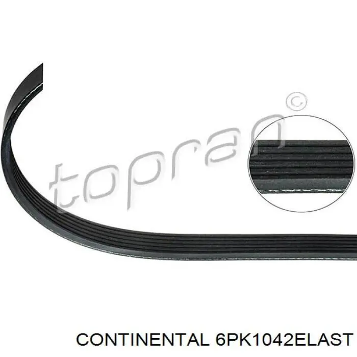 1S4E6C301AC Ford Correa poly v