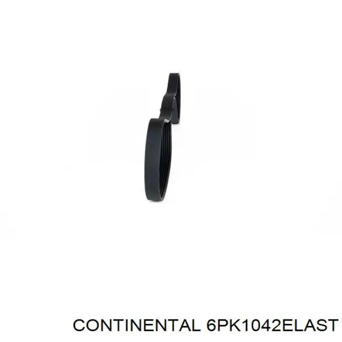 Correa accesorios Ford 1S4E6C301AC
