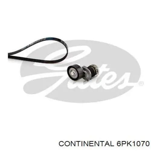 6PK1070 Continental/Siemens Correa poly v
