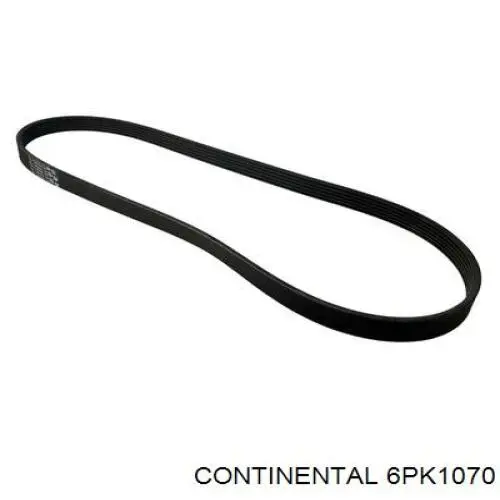 Correa de alternador 6PK1070 Continental/Siemens