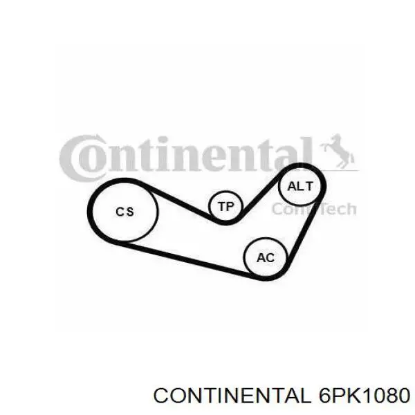 Correa de transmisión trapezoidal Continental/Siemens 6PK1080 precio, desde 17,06 EUR