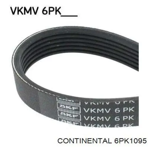 Correa de transmisión trapezoidal Continental/Siemens 6PK1095 precio, desde 24,86 EUR
