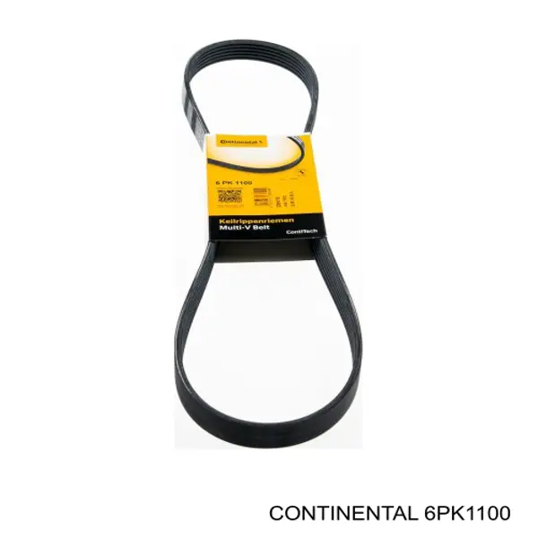 6PK1100 Continental/Siemens Correa poly v