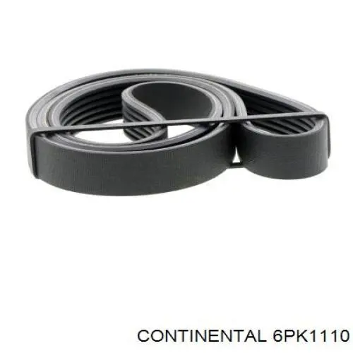 6PK1110 Continental/Siemens Correa poly v