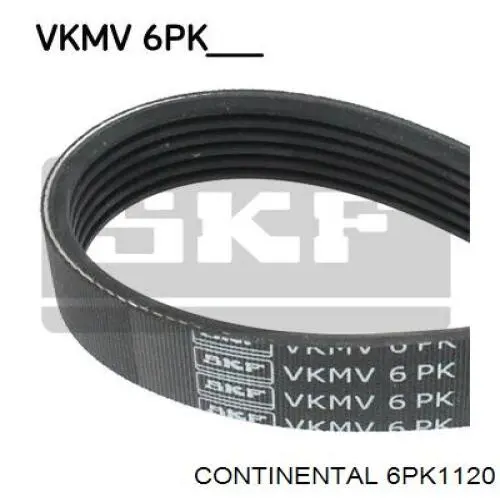 Correa de alternador 6PK1120 Continental/Siemens