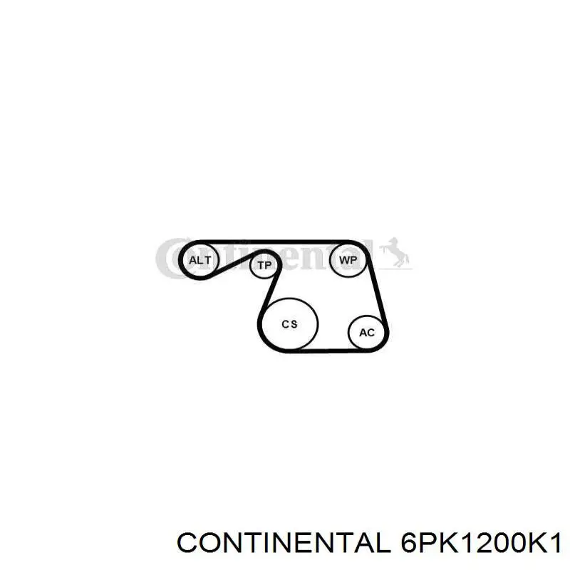Correa de transmisión, completo Continental/Siemens 6PK1200K1 precio, desde 52,40 EUR