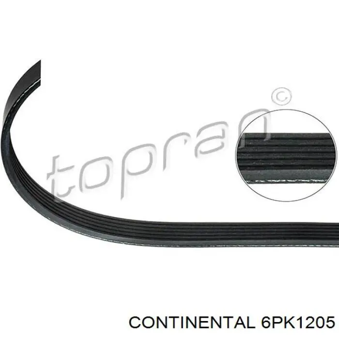 Correa de transmisión trapezoidal Continental/Siemens 6PK1205 precio, desde 21,40 EUR