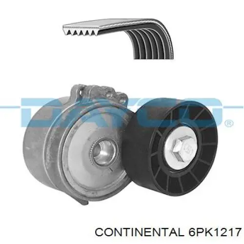 Correa trapezoidal Citroen C5 3 RW
