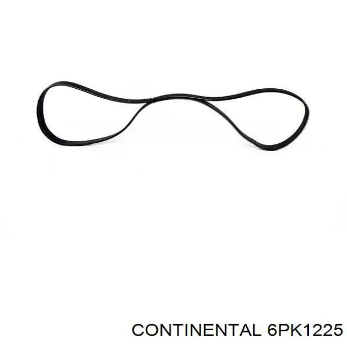 6DPK1225 Gates Correa poly v